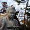 一生青春。