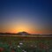 朝靄、輝く夜明けの筑波山