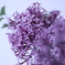 BC1E3C30-1CCF-42E3-A168-180B6F9FE979