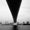 橋