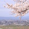 丘の上からの眺め