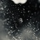 CFA85502-D3FC-4BC3-8790-494A733E65F6