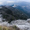 筑波山