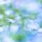 IMG_20190526_223828_930