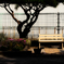 MY FAVORITE BENCH