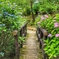 花の橋