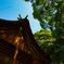 櫻井神社