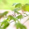 風が吹いて・・☆