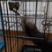 お水ごくごく