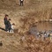 冬の城沼・3姉弟の戯れ-1-022