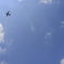 航空自衛隊小牧基地C130H