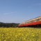 983311EF-3052-42DB-B895-472E176C1F2A