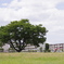 IMGP9399