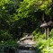 登山道