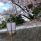 河川敷の石垣