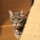 photo_1042853