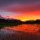 雨上がりの夕焼け