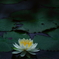不穏な影