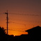 日々の夕暮れ