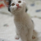 _DSC0091_DxO