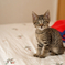 DSC00048_DxO