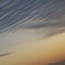 雲海