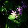 DSCF0990