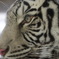 C3D0F64C-0195-4953-83A2-5F610962EFBA