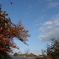 P2150167