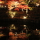 夜のもみじ