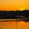 夕焼～け小焼け～の赤田んぼ～ ♪