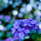 00943E76-E031-491A-8F14-2F9083F87D8C