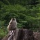 物思い