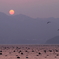 淡い夕時