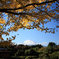 富士山のある風景