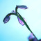 C13E5426-D208-4D60-A409-71675B7504EA