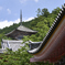 Tsubosakadera