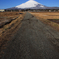 富士山のある風景