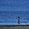 海辺の散歩