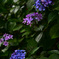 47A8F4E5-8ED1-42B6-9117-0E7EF6E44E77