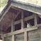 雨宿り猫