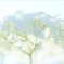June flowers10