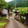 山村にて