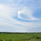 筋斗雲