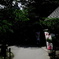 「岡崎公園寸景」　２０２１　　岡崎