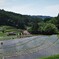 田植えの季節