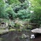 都会の池