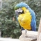 vivid color