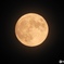 Strawberry Moon