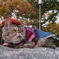 Artist Sachi 